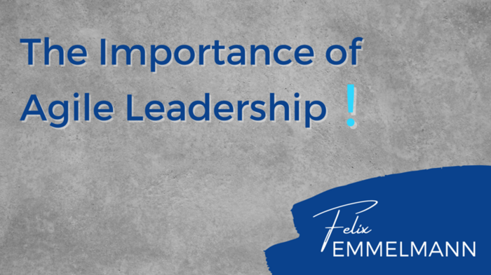 Agile Coach Felix Emmelmann Blog Post about Agile Leadership